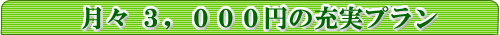 �3,000�ߤν��¥ץ��