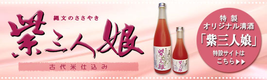 �绰��̼����饤�󥷥�åפϤ�����